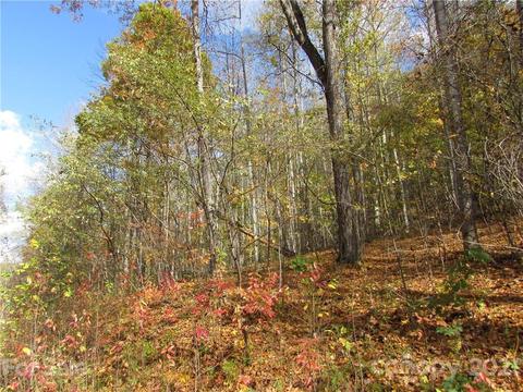Red Wolf Run, Mars Hill, NC 28754