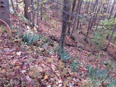 Red Wolf Run, Mars Hill, NC 28754