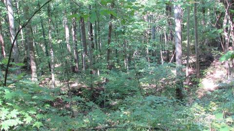 Red Wolf Run, Mars Hill, NC 28754