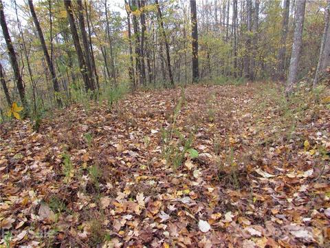 Red Wolf Run, Mars Hill, NC 28754