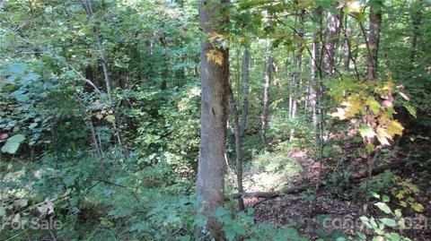 Red Wolf Run, Mars Hill, NC 28754