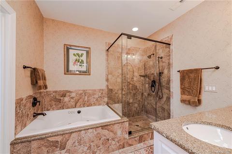 180 Harper Lee St, Davidson, NC 28036 photo 13