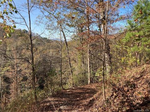 51 Venice Ln, Sylva, NC 28779 photo 37
