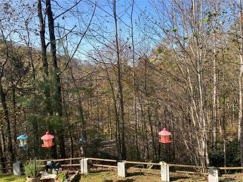 51 Venice Ln, Sylva, NC 28779 photo 36