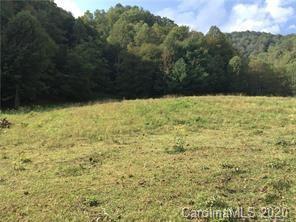 651 Rector Branch Rd, Marshall, NC 28754 photo 11