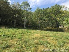 651 Rector Branch Rd, Marshall, NC 28754 photo 10