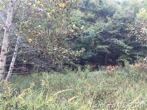 651 Rector Branch Rd, Marshall, NC 28754 photo 14