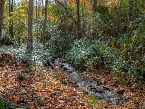 764 Lost Mine Trl, Brevard, NC 28712 photo 11