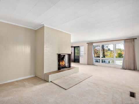 111 Clement Dr, Mills River, NC 28759 photo 3