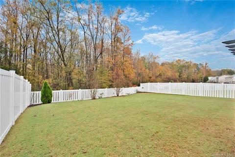 10698 Sapphire Trl, Davidson, NC 28036 photo 37
