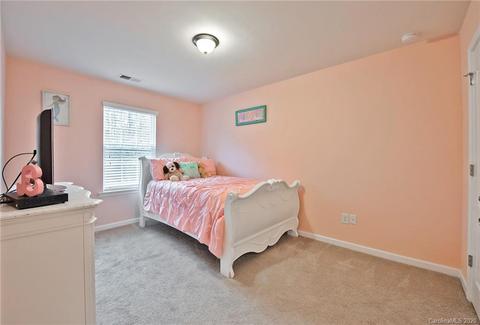 10698 Sapphire Trl, Davidson, NC 28036 photo 26