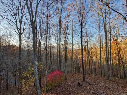 948 Redfield Dr, Clyde, NC 28721 photo 23