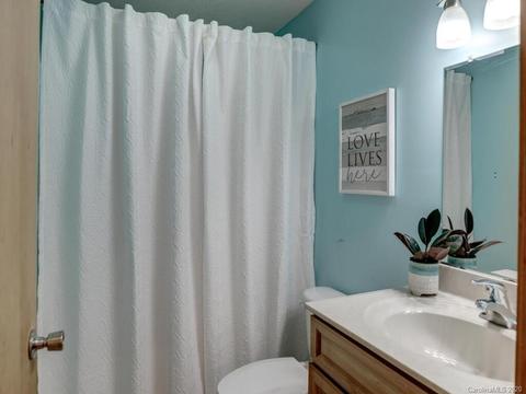 32 Alpine Way, Clyde, NC 28721 photo 30