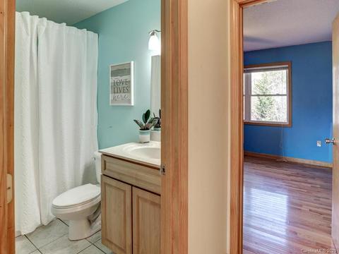 32 Alpine Way, Clyde, NC 28721 photo 29
