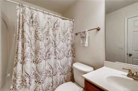 10824 Clark St, Davidson, NC 28036 photo 23