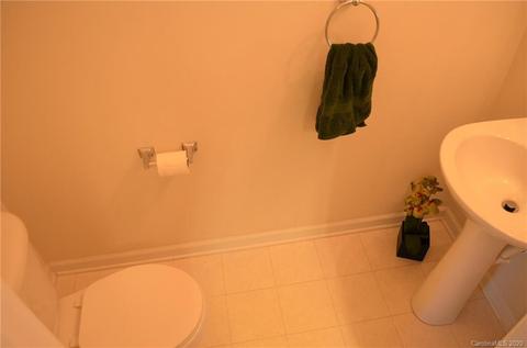 18478 Streamline Ct, Cornelius, NC 28031 photo 19
