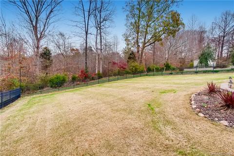 10768 Kingsview Dr, Davidson, NC 28036 photo 23