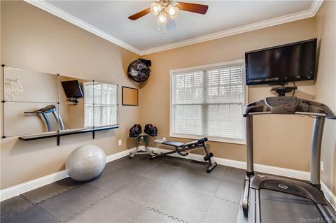 10768 Kingsview Dr, Davidson, NC 28036 photo 19