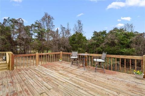 10378 Singletree Ln, Davidson, NC 28036 photo 19