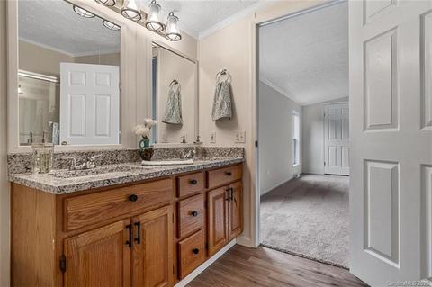 10378 Singletree Ln, Davidson, NC 28036 photo 28