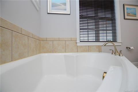 262 Harbour Place Dr, Davidson, NC 28036 photo 34