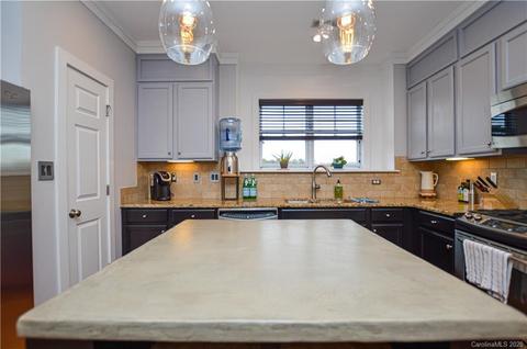 262 Harbour Place Dr, Davidson, NC 28036 photo 17