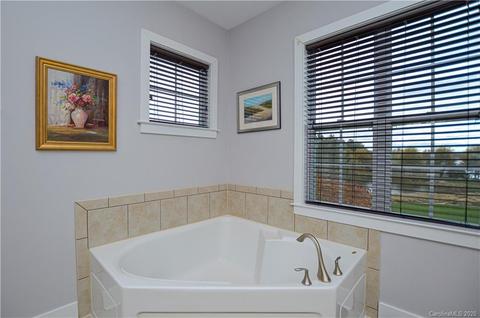 262 Harbour Place Dr, Davidson, NC 28036 photo 29