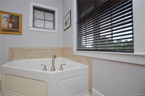 262 Harbour Place Dr, Davidson, NC 28036 photo 33