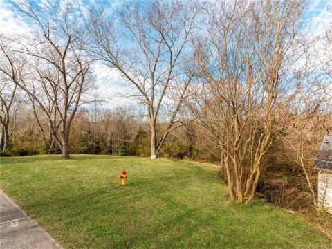 220 Cook Rd, Casar, NC 28020 photo 18