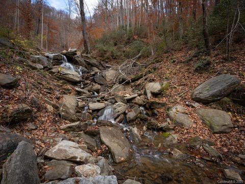 3462 Us Hwy 176, Tryon, NC 28782 photo 40