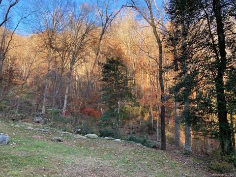 3462 Us Hwy 176, Tryon, NC 28782 photo 42