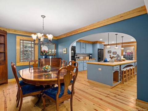 3462 Us Hwy 176, Tryon, NC 28782 photo 21