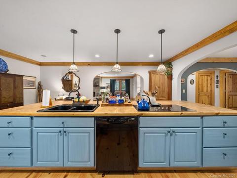 3462 Us Hwy 176, Tryon, NC 28782 photo 16