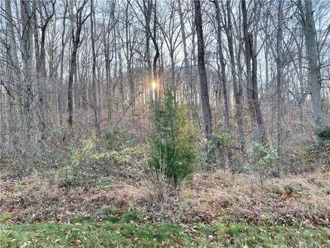 465 Fox Hunter Rd, Harmony, NC 28634 photo 35