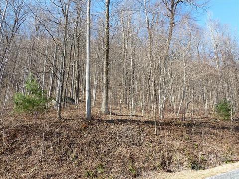 635 Eagle Ridge 7 Rd #7, Zirconia, NC 28790