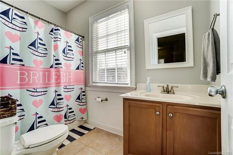 3284 Richards Xing, Fort Mill, SC 29708 photo 34