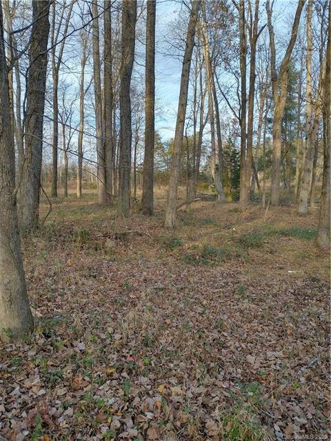 3200 Peniel Rd, Tryon, NC 28782 photo 35