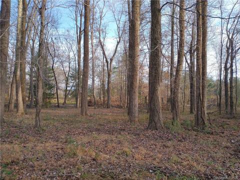 3200 Peniel Rd, Tryon, NC 28782 photo 38