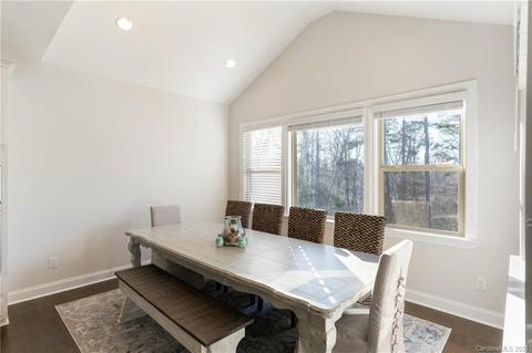 196 Broadleaf Dr, Denver, NC 28037 photo 12
