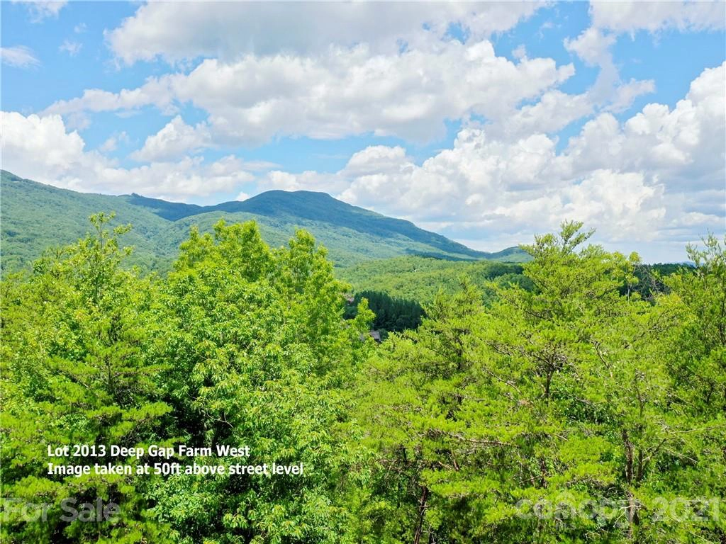 2013 Deep Gap Farm Rd East  