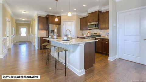 4369 Riverton Loop, Denver, NC 28037 photo 20