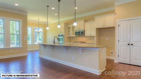 4393 Riverton Loop, Denver, NC 28037 photo 16