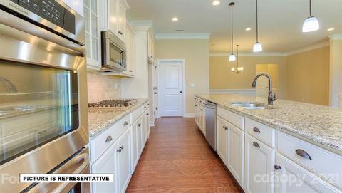 4393 Riverton Loop, Denver, NC 28037 photo 18