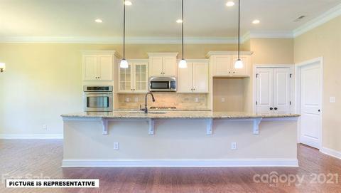 4393 Riverton Loop, Denver, NC 28037 photo 15