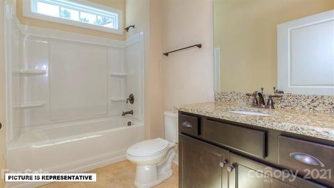 4393 Riverton Loop, Denver, NC 28037 photo 14