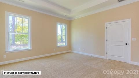 4393 Riverton Loop, Denver, NC 28037 photo 23