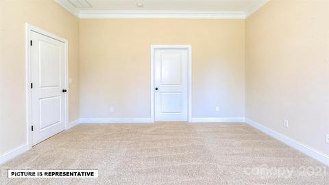 4393 Riverton Loop, Denver, NC 28037 photo 24