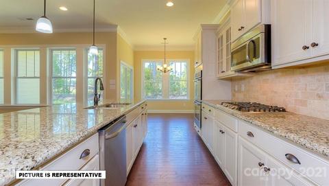 4393 Riverton Loop, Denver, NC 28037 photo 17