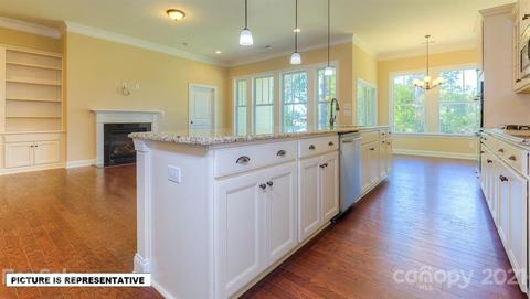 4393 Riverton Loop, Denver, NC 28037 photo 19