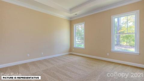 4393 Riverton Loop, Denver, NC 28037 photo 22